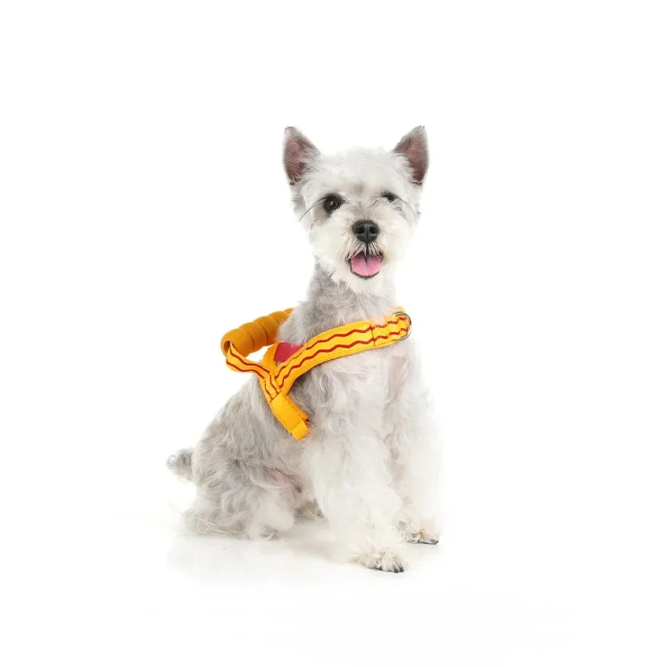 Colorful Dog Harness Leash Set No-Pull Step-in Dog Harness with Comfortable Foam Handle Adjustable Escape-Proof Pet Vest