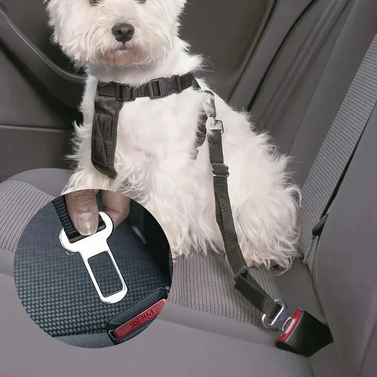 2/4 Pet Seat Belt Adapters - Car Metal Clips for Pet Leashes, Compatible with Truck & Car Seats