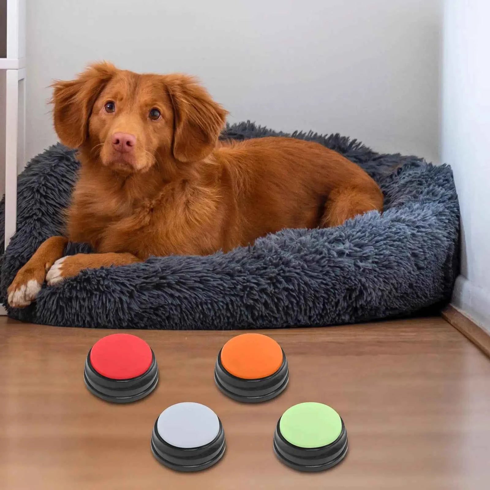 4 Pcs Recordable Talking Buttons Dog Interactive Toy Playback Educational Toy