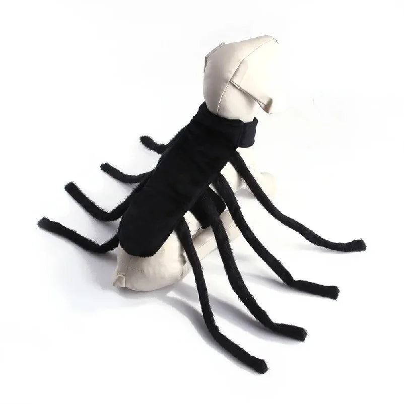 Spider Halloween Costume for Small & Medium Pets