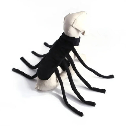 Spider Halloween Costume for Small & Medium Pets