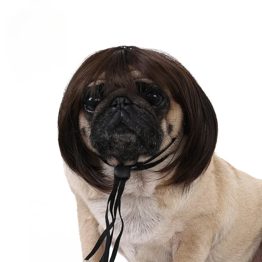 Curly Hair Pet Wig for Dogs & Cats