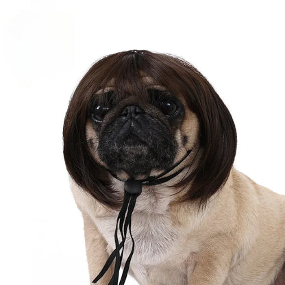 Curly Hair Pet Wig for Dogs & Cats