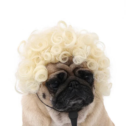 Curly Hair Pet Wig for Dogs & Cats