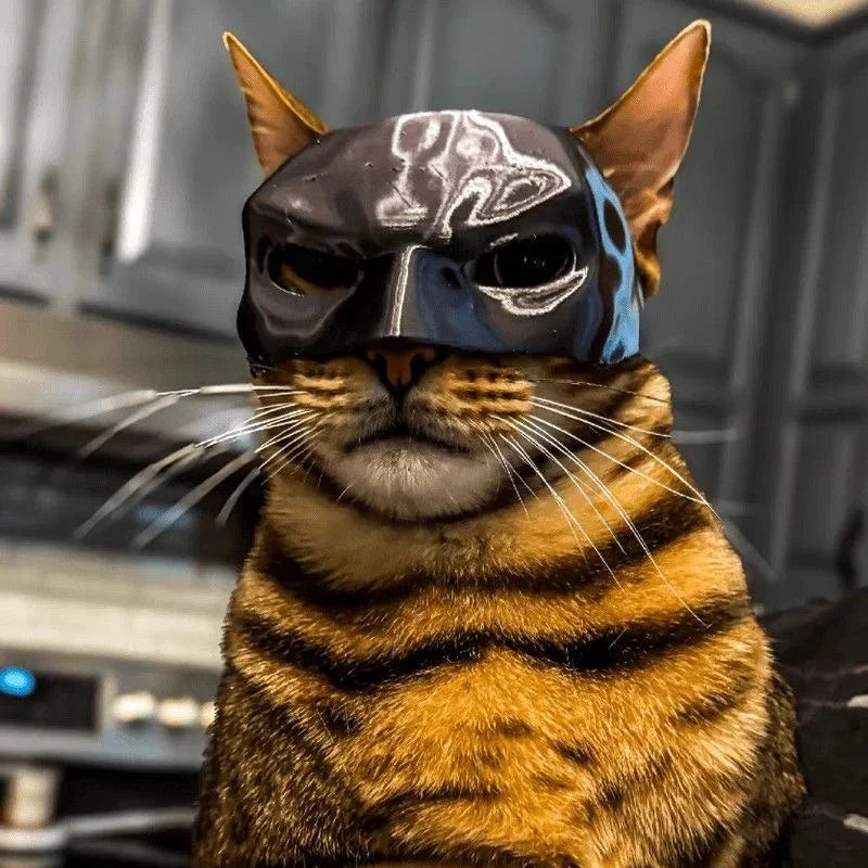 Cat Bat Avenger Mask Halloween Costume