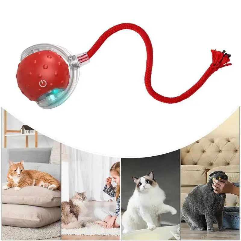 Smart Cat Toy