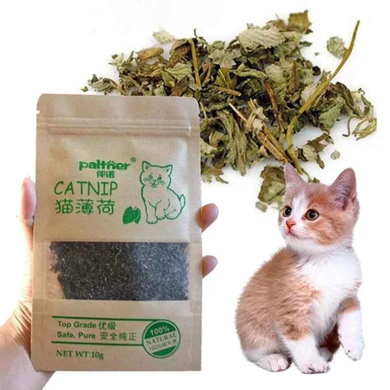 Natural Premium Catnip Cattle Grass Interactive Cat Non-toxic 10g Menthol Flavor Funny Cat Supplies Keep Pet Health Cat Toy