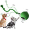 green Pet Ball Toy