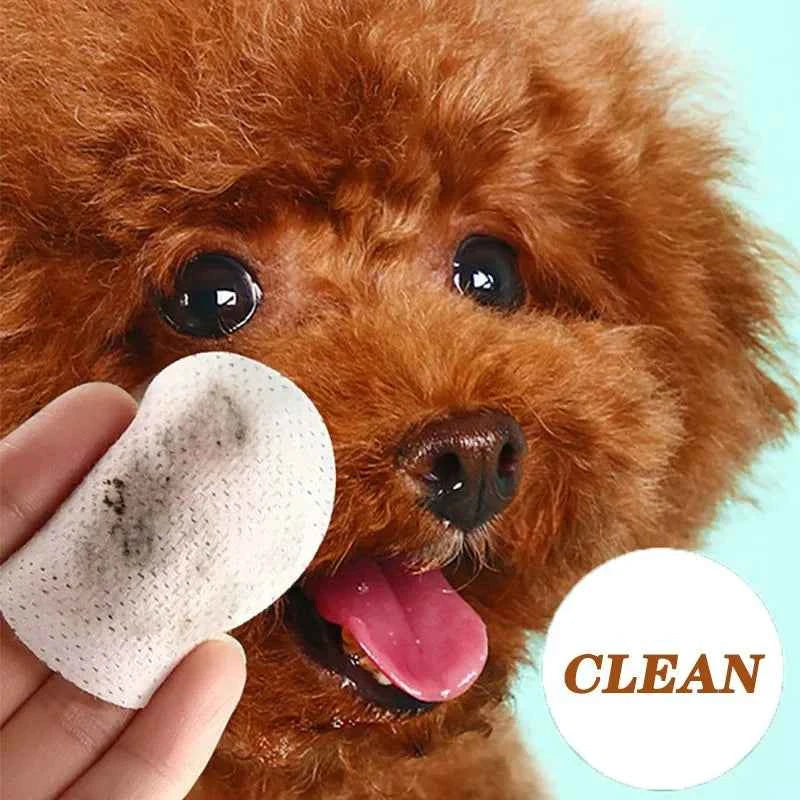 Pet Eye Cleaning Wet Wipes – Dirt & Bacteria Removal for Cats & Dogs