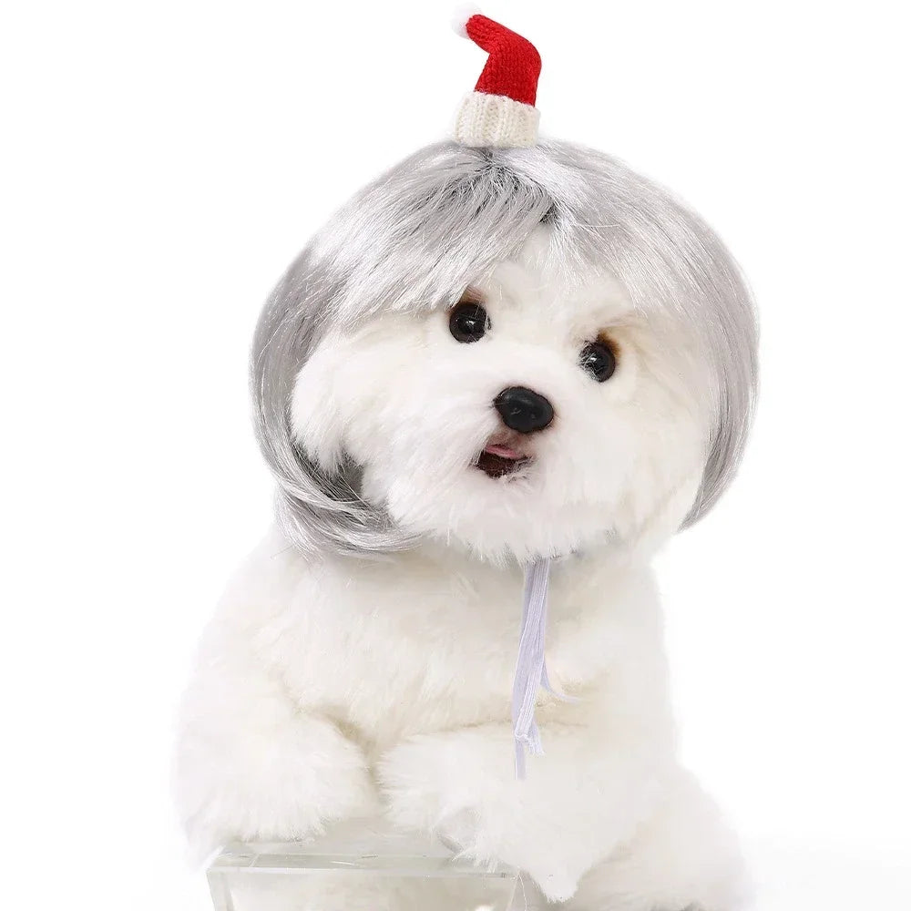 Curly Hair Pet Wig for Dogs & Cats