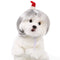 Silver Christmas hat