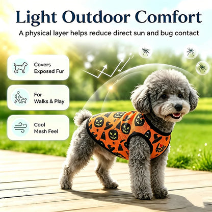 Pumpkin Print Halloween Vest for Dogs & Cats
