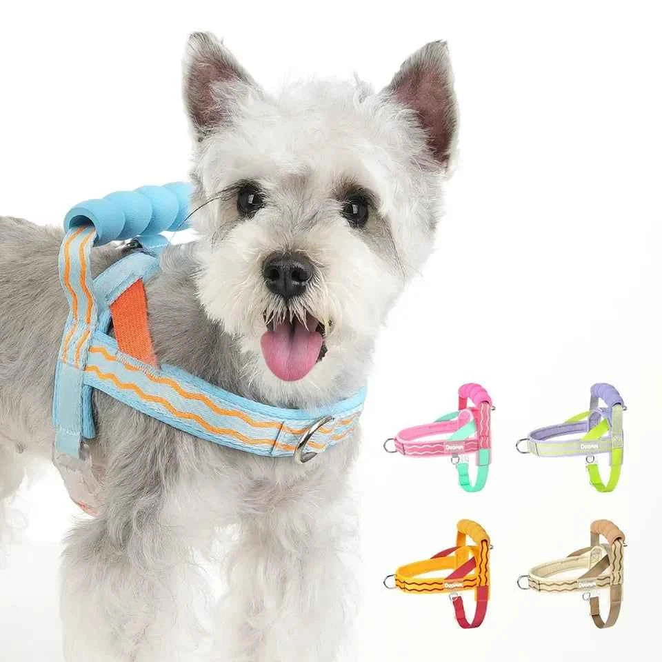 Colorful Dog Harness Leash Set No-Pull Step-in Dog Harness with Comfortable Foam Handle Adjustable Escape-Proof Pet Vest