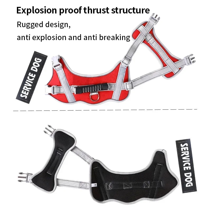 Reflective Custom Dog Harness – Add Pet Name & Phone Number