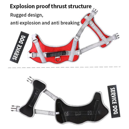 Reflective Custom Dog Harness – Add Pet Name & Phone Number
