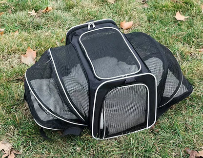 Airline-Approved Expandable Pet Carrier for Small Dogs & Cats – Soft-Sided Collapsible Travel Bag with 4-Way Access