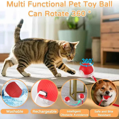 Interactive Electric Cat Toy Ball – Battery Included, Durable Plastic Play Ball