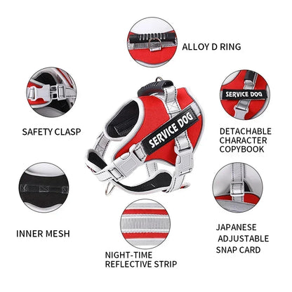 Reflective Custom Dog Harness – Add Pet Name & Phone Number