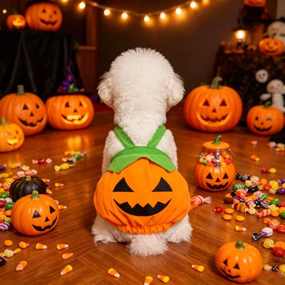 Adjustable Pumpkin Costume for Dogs & Cats