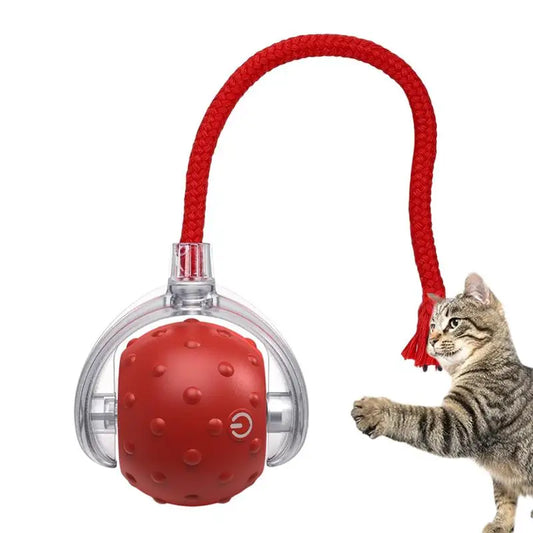 Smart Cat Toy