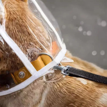 Transparent Waterproof Dog Raincoat – Windproof Pet Rain Jacket for Small, Medium & Large Dogs (XS–8XL