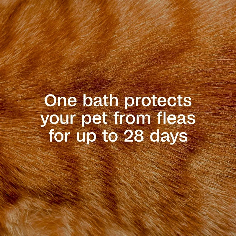 Flea & Tick Foaming Shampoo & Wash for Cats & Kittens Over 12 Weeks, Sensitive Skin Flea Treatment for Cats & Kittens