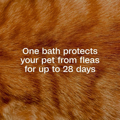 Flea & Tick Foaming Shampoo & Wash for Cats & Kittens Over 12 Weeks, Sensitive Skin Flea Treatment for Cats & Kittens
