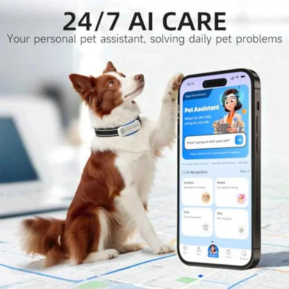AI GPS Tracker for Dogs 30lbs+ Real Time Location and AI Health Assistant Electronic Fence Waterproof iOS and Android Universal