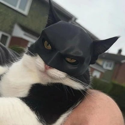 Cat Bat Avenger Mask Halloween Costume