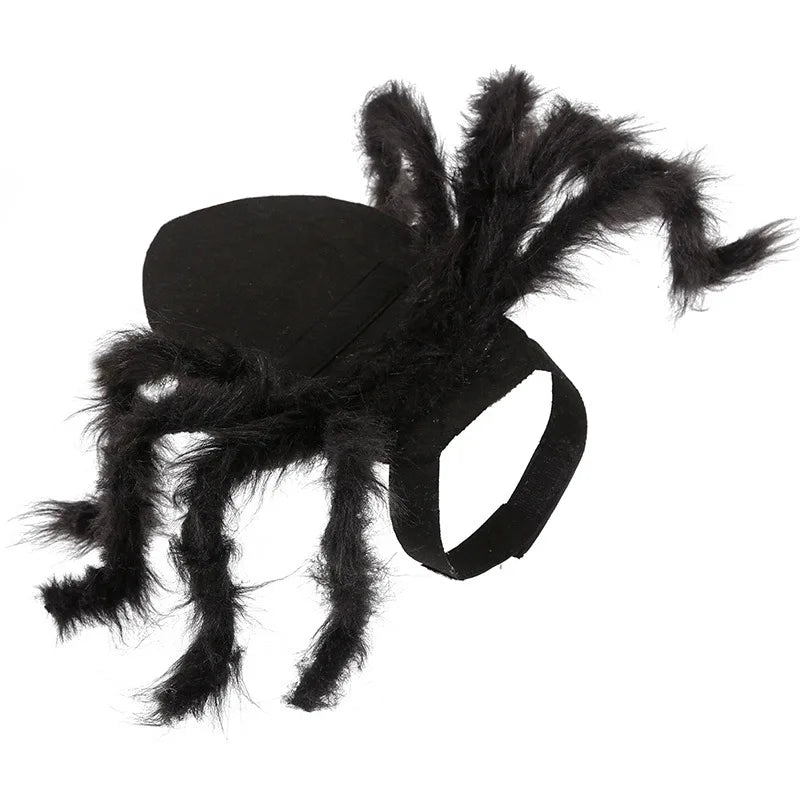 Spider Halloween Costume for Dogs & Cats