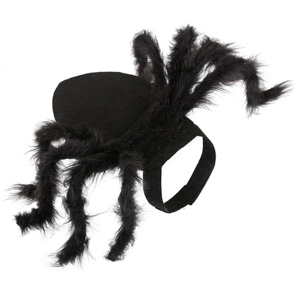 Spider Halloween Costume for Dogs & Cats