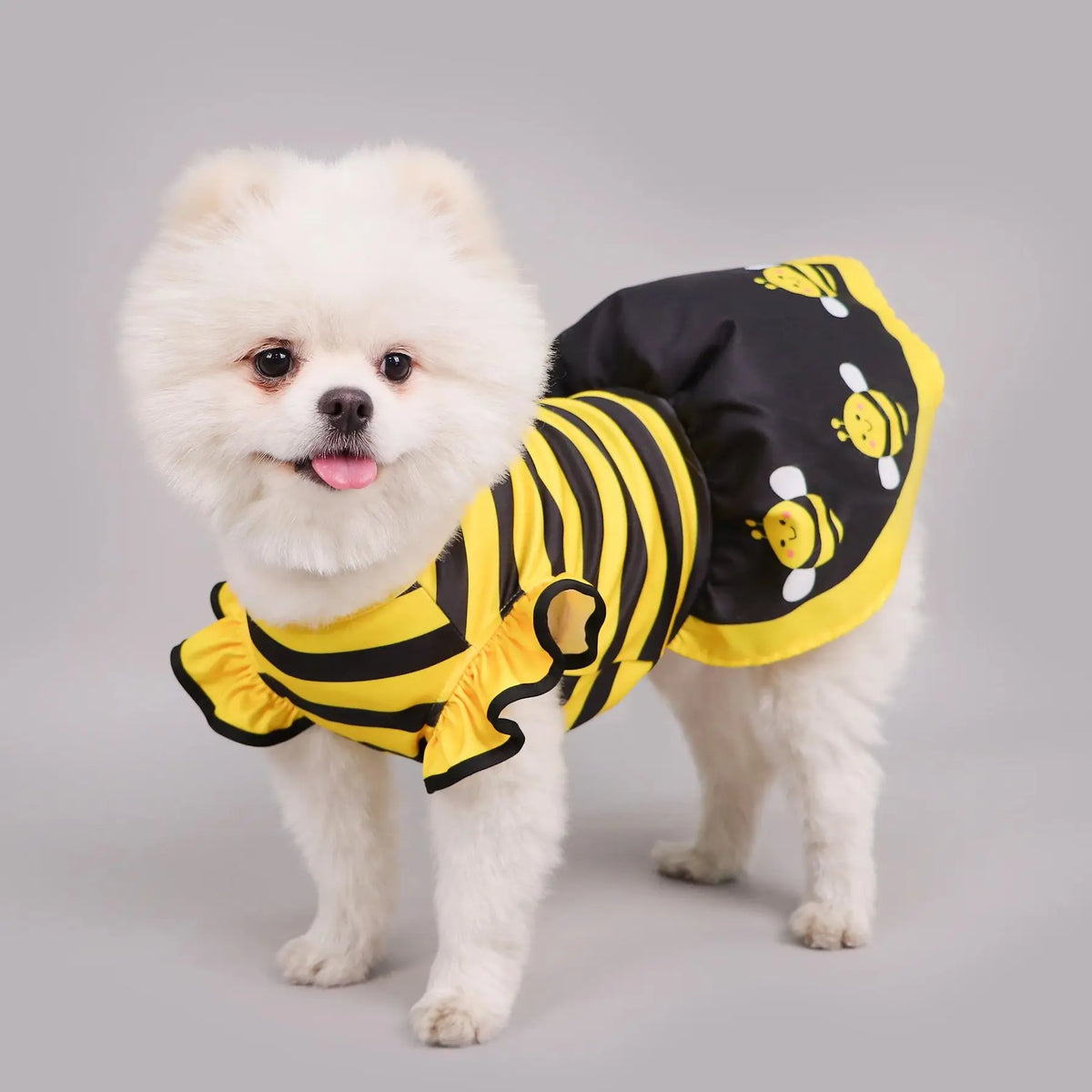 Bumble Bee Dress Costume for Dogs & Cats