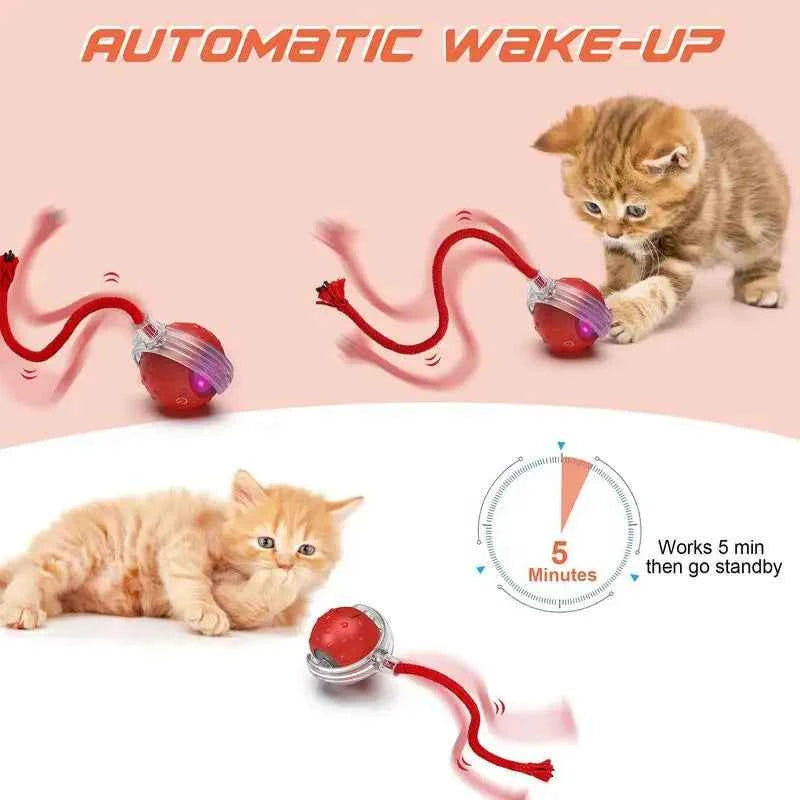 Smart Cat Toy