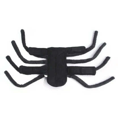 Spider Halloween Costume for Small & Medium Pets