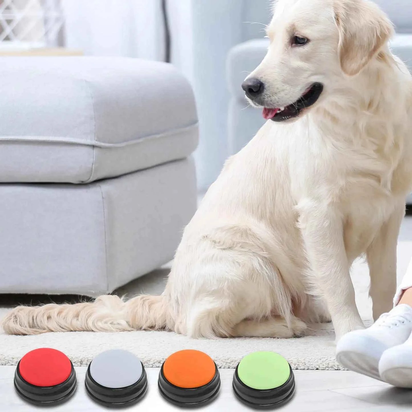 4 Pcs Recordable Talking Buttons Dog Interactive Toy Playback Educational Toy