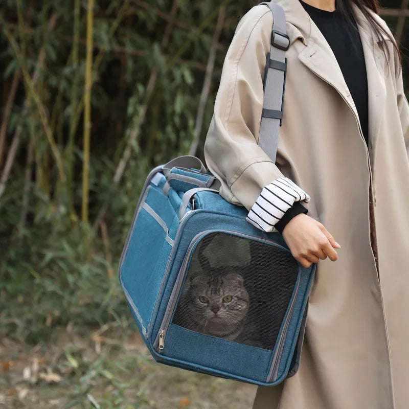 Portable Expandable Pet Travel Bag Soft-Sided Transparent Breathable Lightweight Handheld or Crossbody Outdoor Pet Bag Stylish
