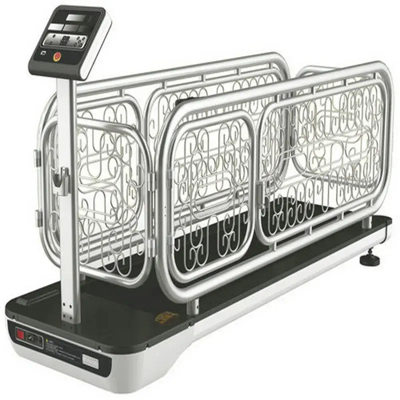 Dog Treadmill for Small & Medium Dogs – Adjustable Speed Indoor Exercise Machine