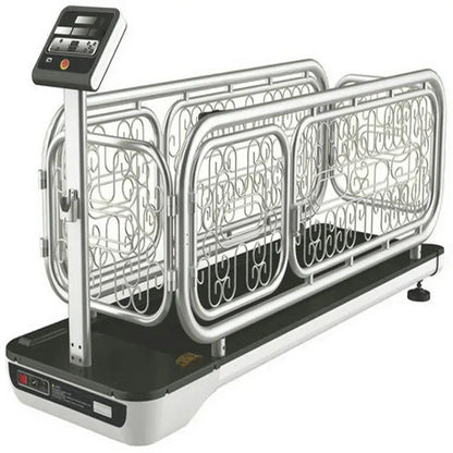 Dog Treadmill for Small & Medium Dogs – Adjustable Speed Indoor Exercise Machine
