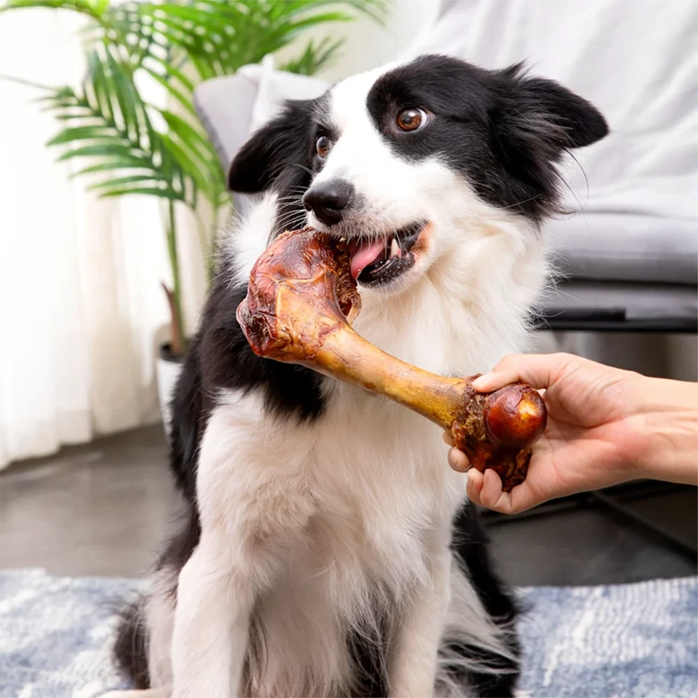 Large 6.3" Natural Cow Bone Dog Treat 150–190g Healthy & Easily Digestible
