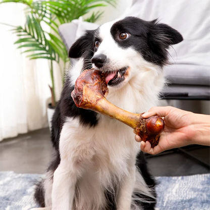 Large 6.3" Natural Cow Bone Dog Treat 150–190g Healthy & Easily Digestible