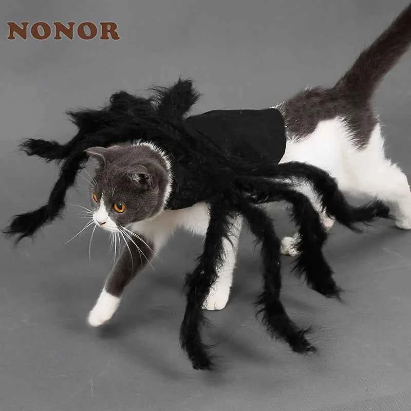 Spider Halloween Costume for Dogs & Cats