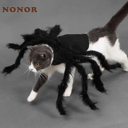 Spider Halloween Costume for Dogs & Cats