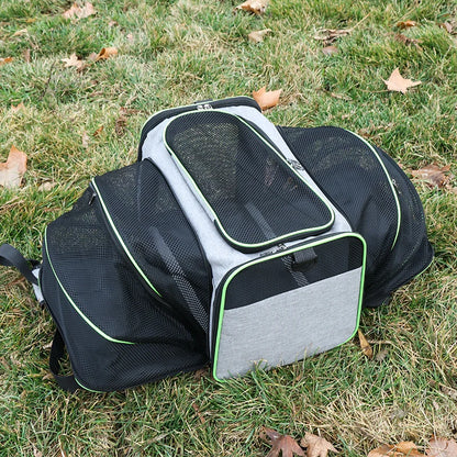 Airline-Approved Expandable Pet Carrier for Small Dogs & Cats – Soft-Sided Collapsible Travel Bag with 4-Way Access