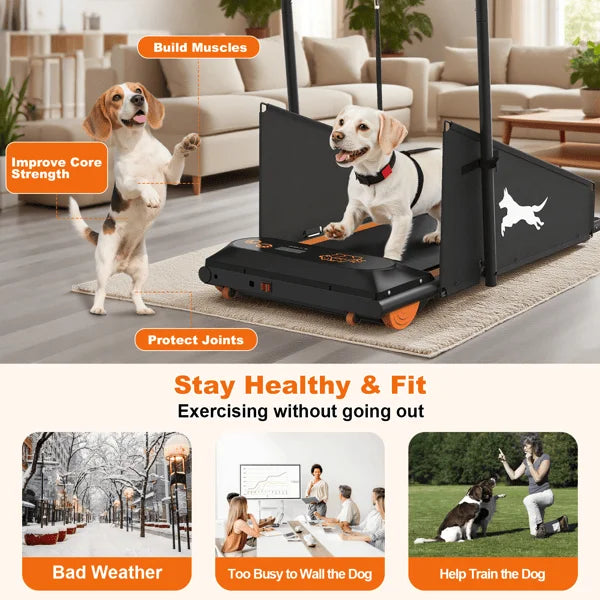 GP03 Electric Dog Treadmill – Foldable Pet Running Machine with 2.5HP Motor