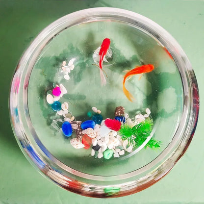 2-Gallon Round Glass Fish Tank Aquarium for Betta Fish, Small Fish & Reptiles