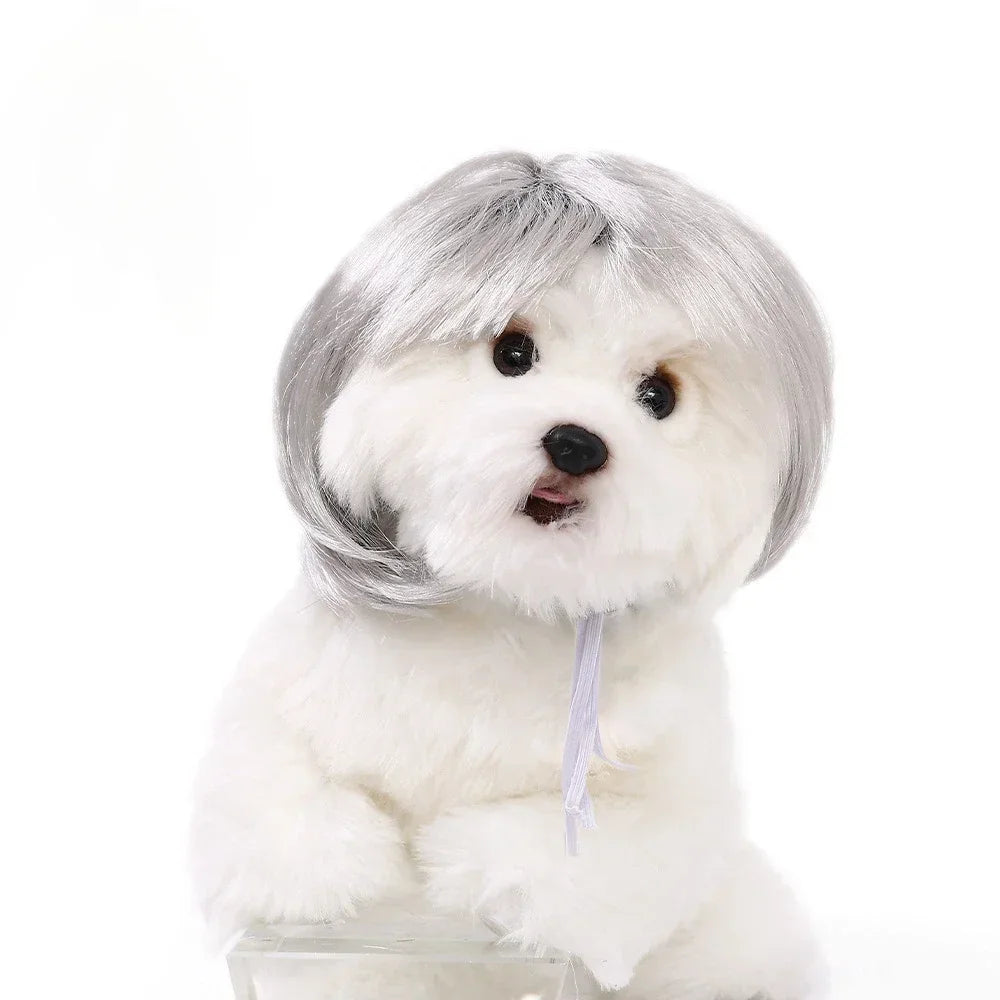 Curly Hair Pet Wig for Dogs & Cats