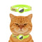 FGreen N GPS Holder