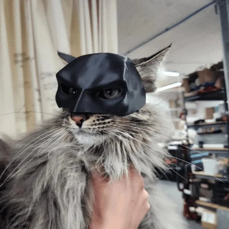 Cat Bat Avenger Mask Halloween Costume