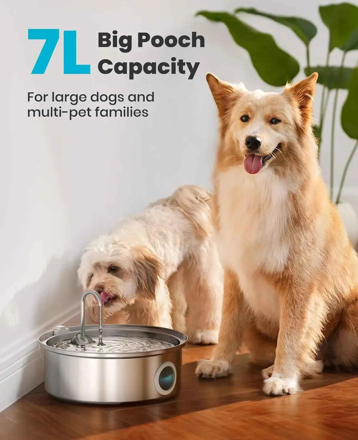 7L Stainless Steel Dog Water Fountain, Quiet Pump & Triple Filtration for Pets