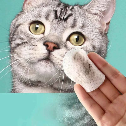 Pet Eye Cleaning Wet Wipes – Dirt & Bacteria Removal for Cats & Dogs